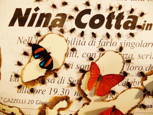 Detail, "Nina Cotto"